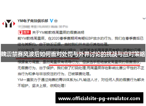 魏震禁赛风波后如何面对处罚与外界讨论的挑战与应对策略