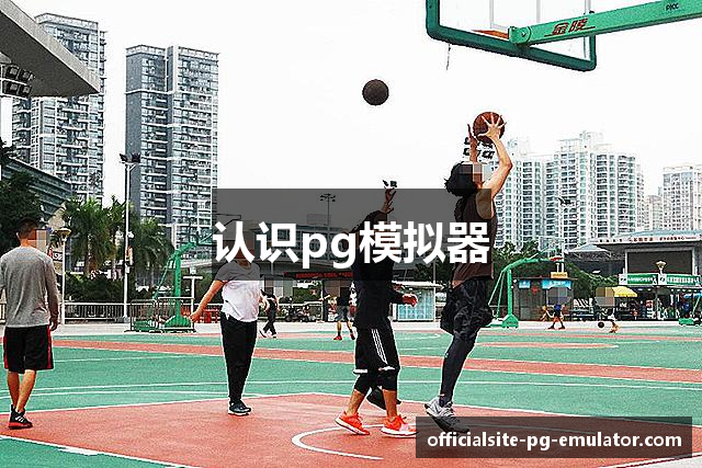 认识pg模拟器